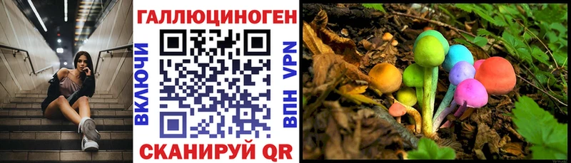 Псилоцибиновые грибы мухоморы  как найти наркотики  Красноперекопск 